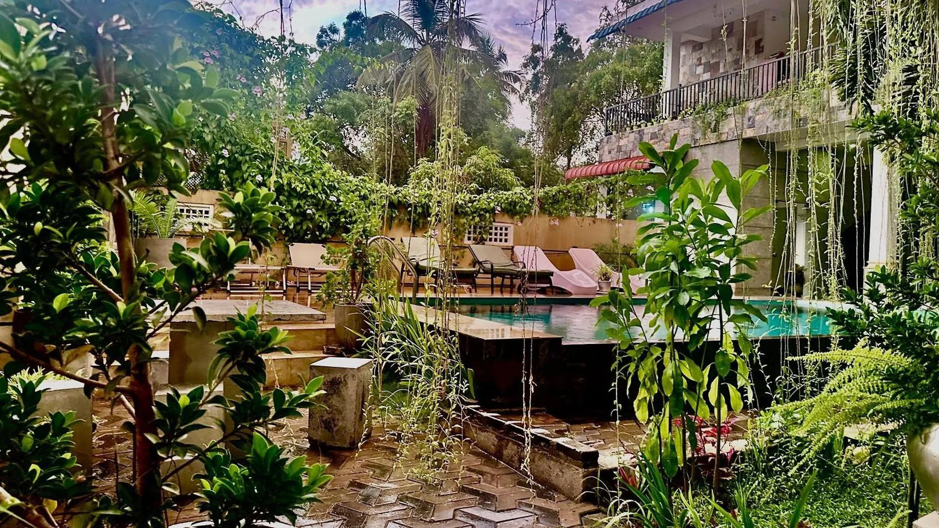 St Claire'S Green Negombo Hotel & Hostels