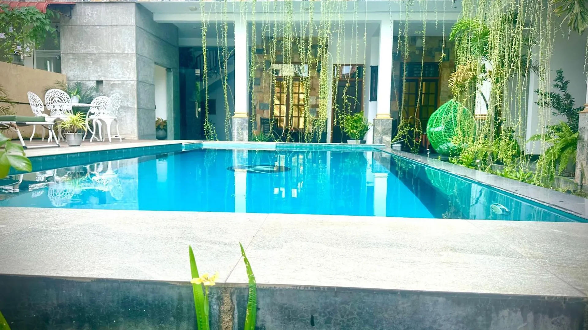 St Claire'S Green Negombo Hotel & Hostels